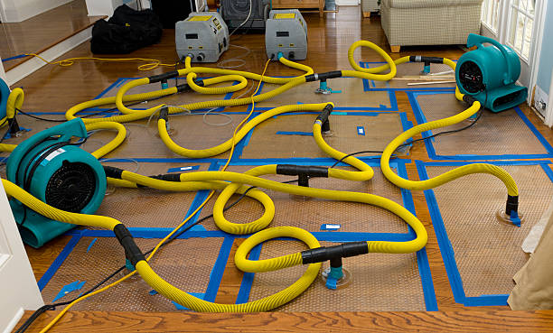 Professional Emergency Water Removal technician working in Otter Lake, MI